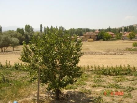 madenli12.jpg