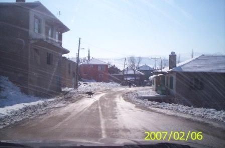 ned_m_erdal2.jpg